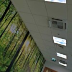 Murals - SignWorld Malta