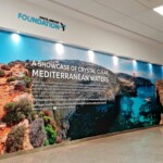 Murals - SignWorld Malta