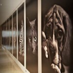 Murals - SignWorld Malta